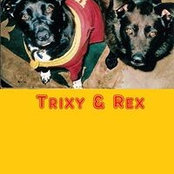 Trixy Rex's photo