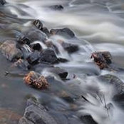 James Barron's photo