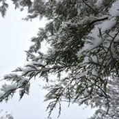 Maggie Barradell's photo