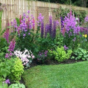 Lucy Boulton's photo