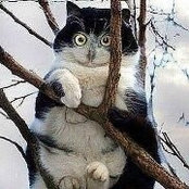 Boris Lutsyuk's photo