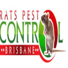 Rat Pest Control Brisbane