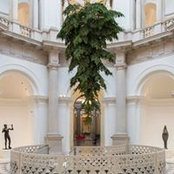 Eleanor Brogden's photo