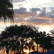 Melissa King-Platt's photo