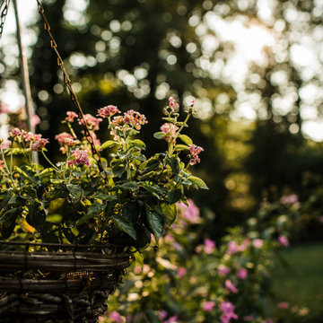 Vibrant Plantings and Woodland Paths
