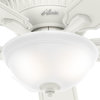 Hunter Fan Company 54" Promenade Ceiling Fan With LED Light/Remote, Gloss Black