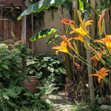 Le Jardin Sauvage