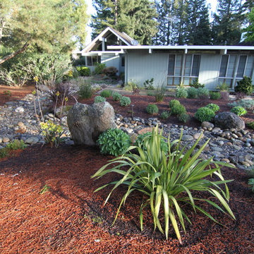 Los Altos Dry Creek Bed