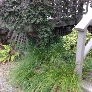 Sebastopol Retreat