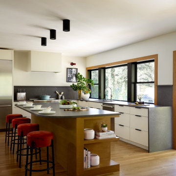 Mid Century Modern house Renovation