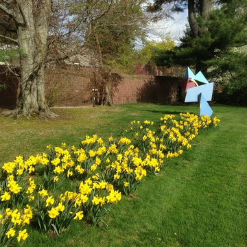 spring flowers