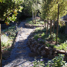 Rock pathways