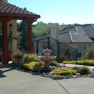 Drought Tolerant and Low Maintenance Landscape