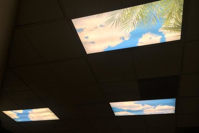 Palm Trees in Your Workspace