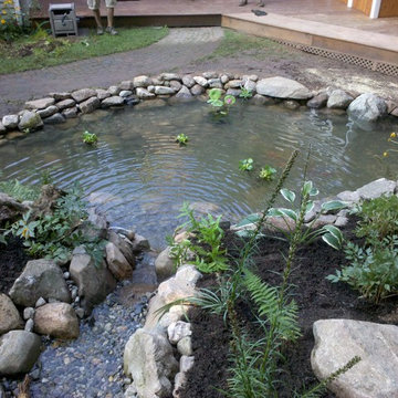 Back Yard Pond - Avon