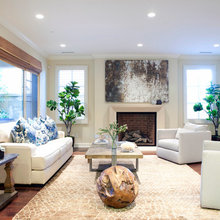 Living Room Ideas