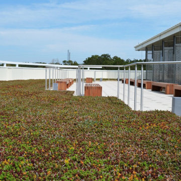 Green Roof Projects