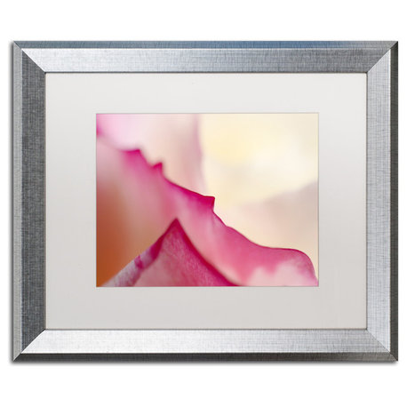 Czyzowska Young 'Mountains of Summer' Art, Silver Frame, 16"x20", White Matte