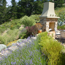 Landscape Ideas
