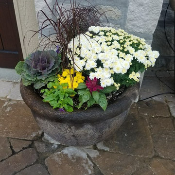 Fall Pots
