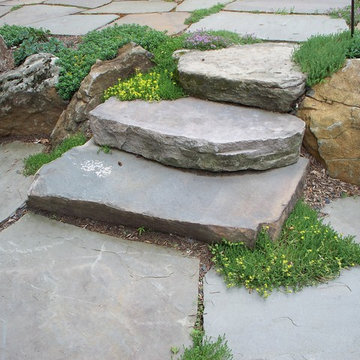 Woodland Terrace
