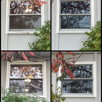 Before and After '23