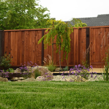 Fremont Residence