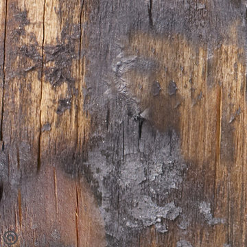 Singed Wood. Industrial Collection. Haute Couture Peel & Stick Fabric Wallpaper.