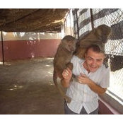 Emad Hamdy's photo