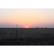 Gina Gray's photo