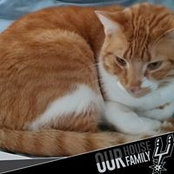 Foto von Sandra Carr