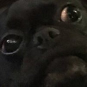 Chris Baker's photo