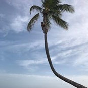 Alex LaPointe's photo