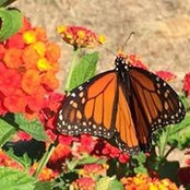 Cathy Reynolds's photo