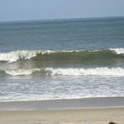 Audrey Grasso-Ayers's photo