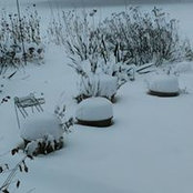 Vickie Kowalski's photo