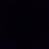 D's photo