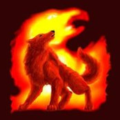 Foto de Phoenix White Wolf
