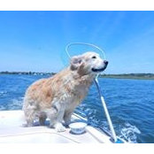 Sandy Hochstein's photo