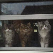 Michelle Leibrock's photo