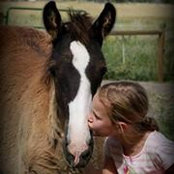 Jodi Feist's photo