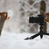Sui Ela's photo
