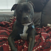 Andrew Weitzel's photo