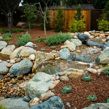 Mountain View Rustic