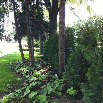 Living Wall Natural Screen
