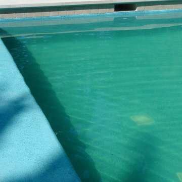 Long Grove, IL Swimming Pool Renovation