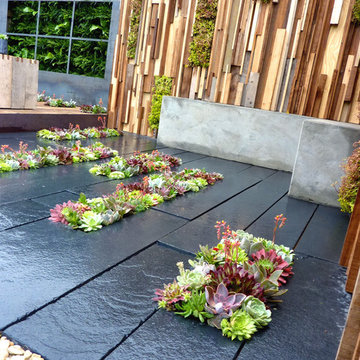 The Austerity Garden. RHS Gardeners World