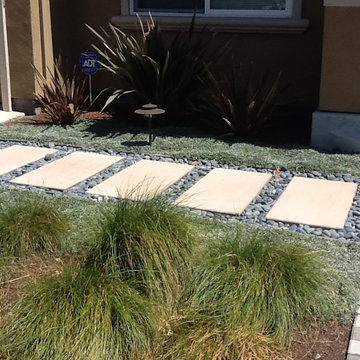 New Front Yard for Home Remodel