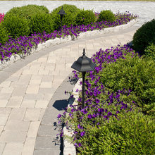 Deck Landscaping