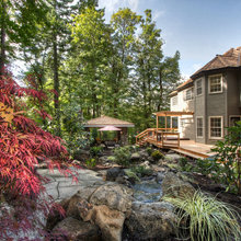 back yard